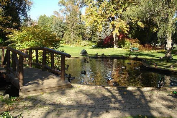 James Gardens Park 365 Things To Do In Etobicoke