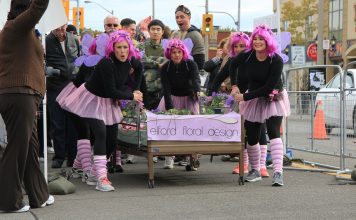 #136 Dorothy Ley Hospice Halloween Bed Race Dorothy Ley Hospice Bed Race