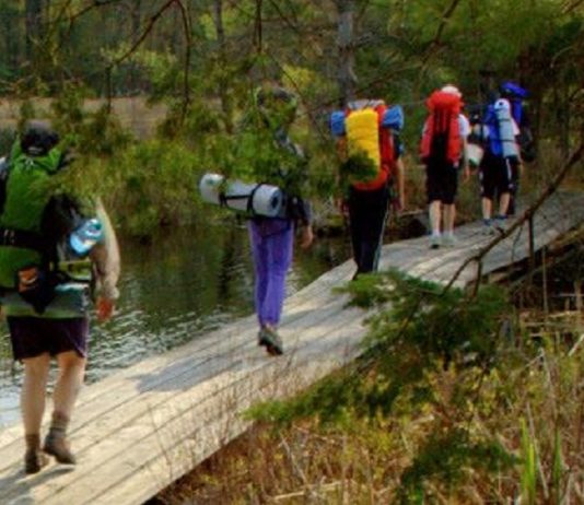 #173 1st Lakeshore Scouts 1st Lakeshore Scouts