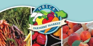 Humber Bay Shores Farmers Market