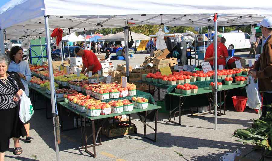Etobicoke Farmers Market